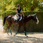 Jumping Saddle Pad Deià