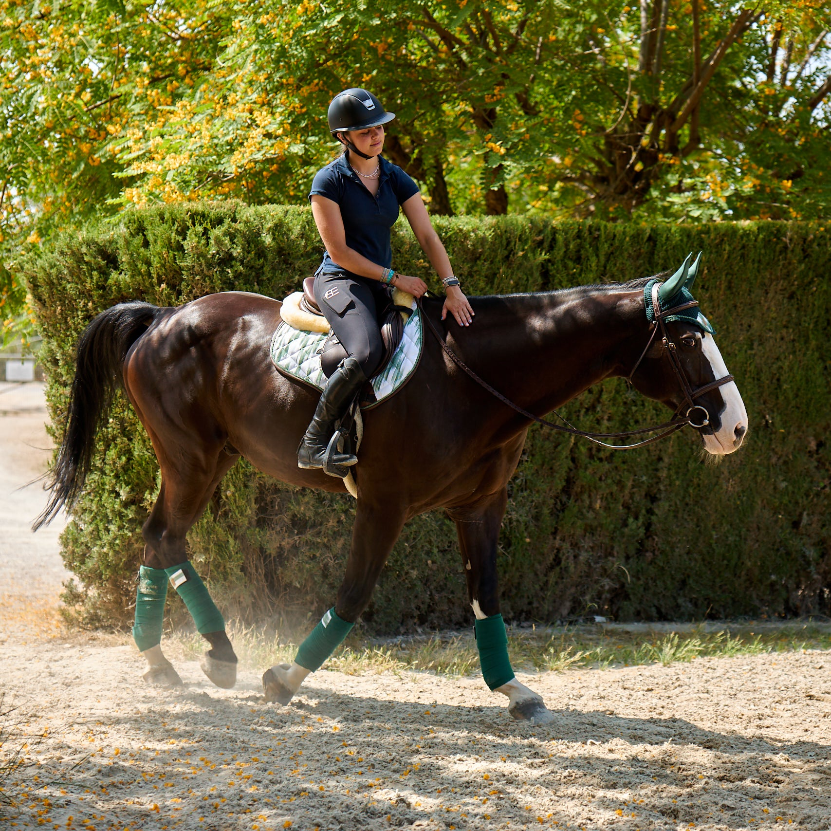 Jumping Saddle Pad Deià