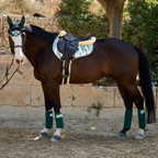 Jumping Saddle Pad Deià