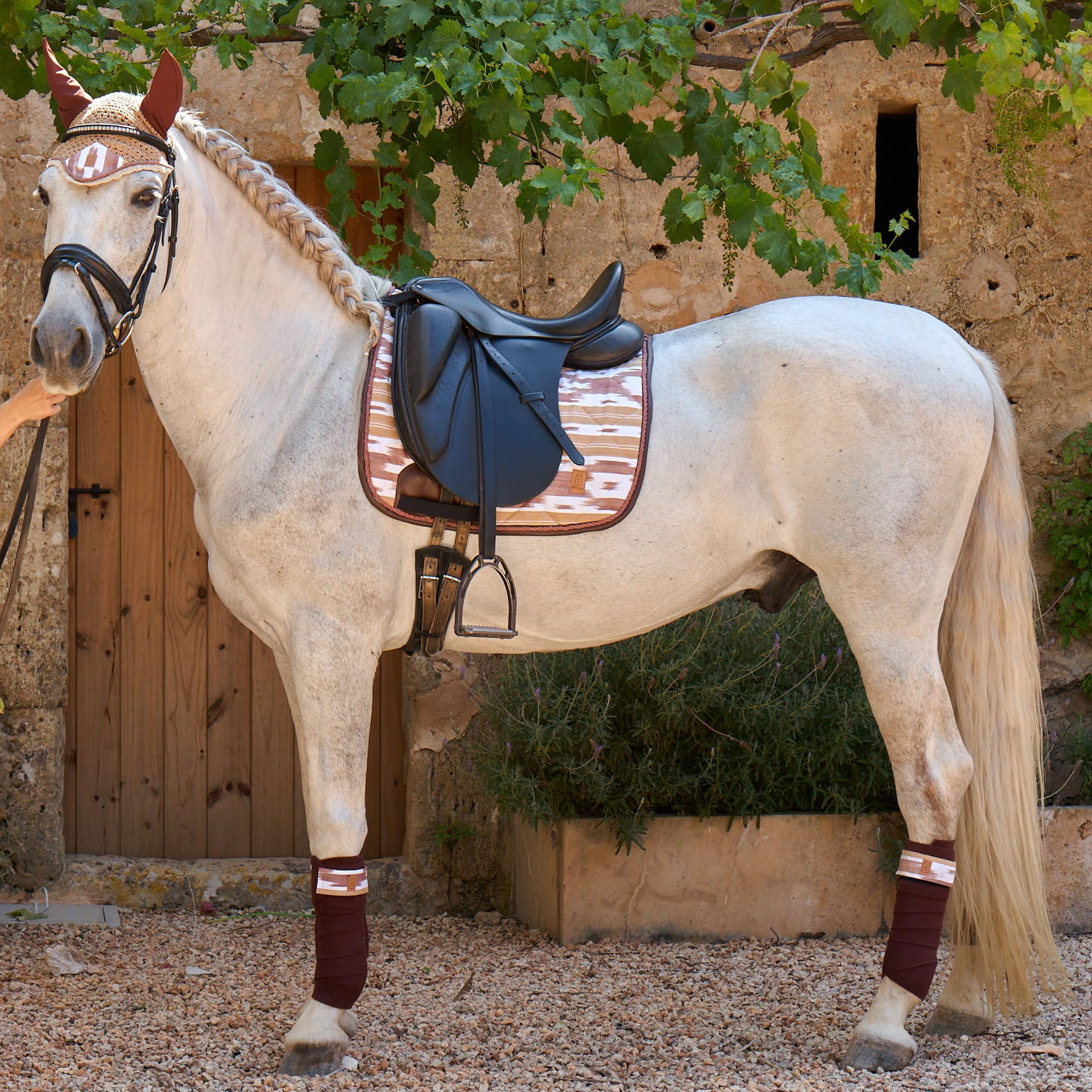 Dressage Saddle Pad Orient